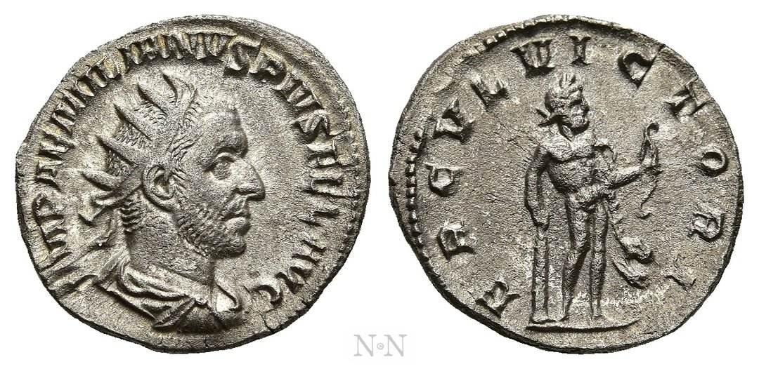 Dritto moneta