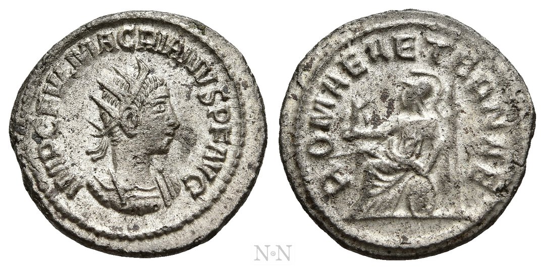 Dritto moneta