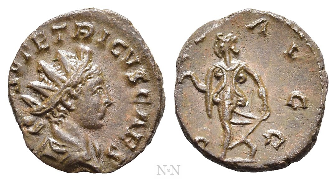 Dritto moneta