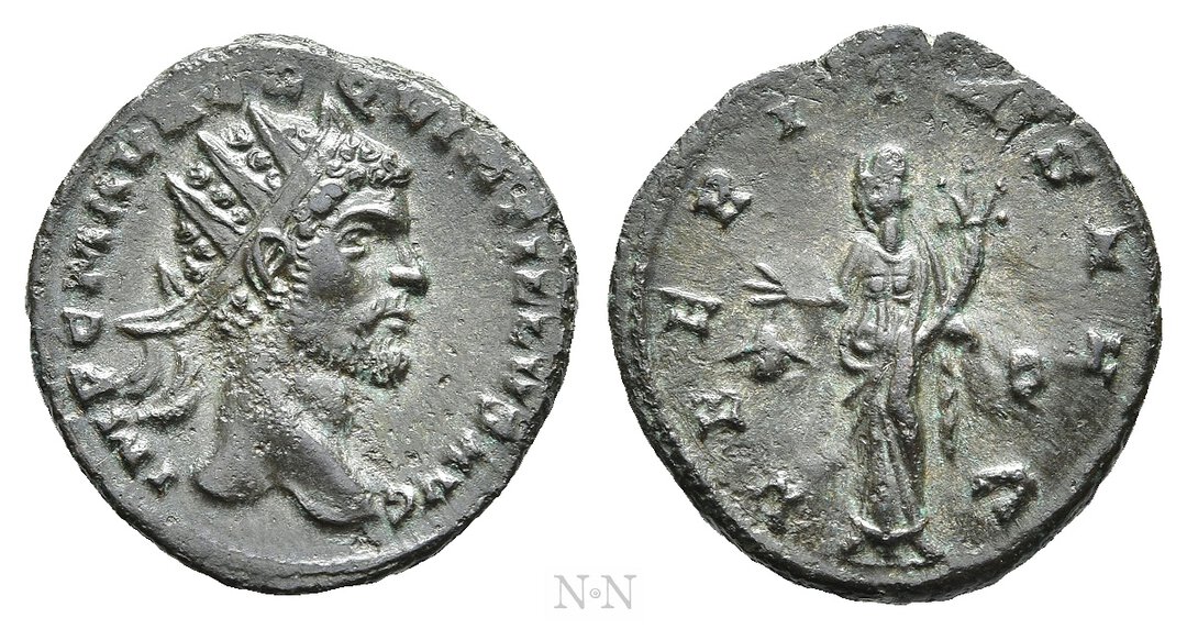 Dritto moneta