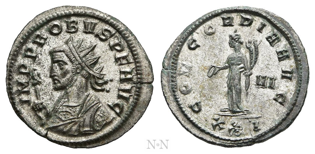 Dritto moneta