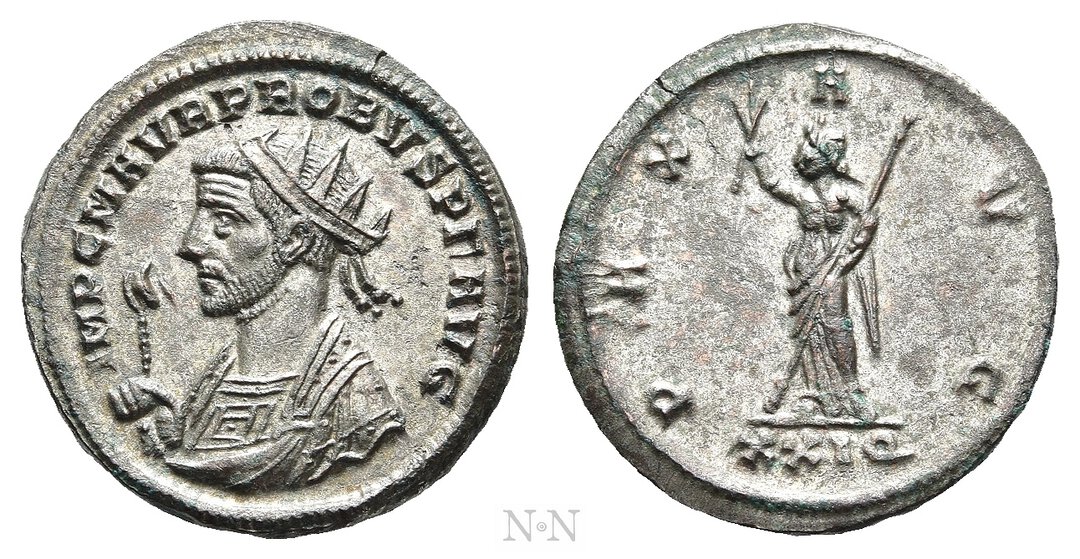 Dritto moneta