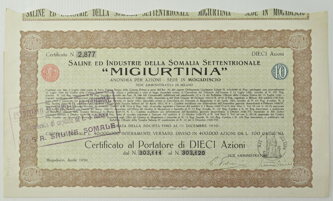Dritto moneta