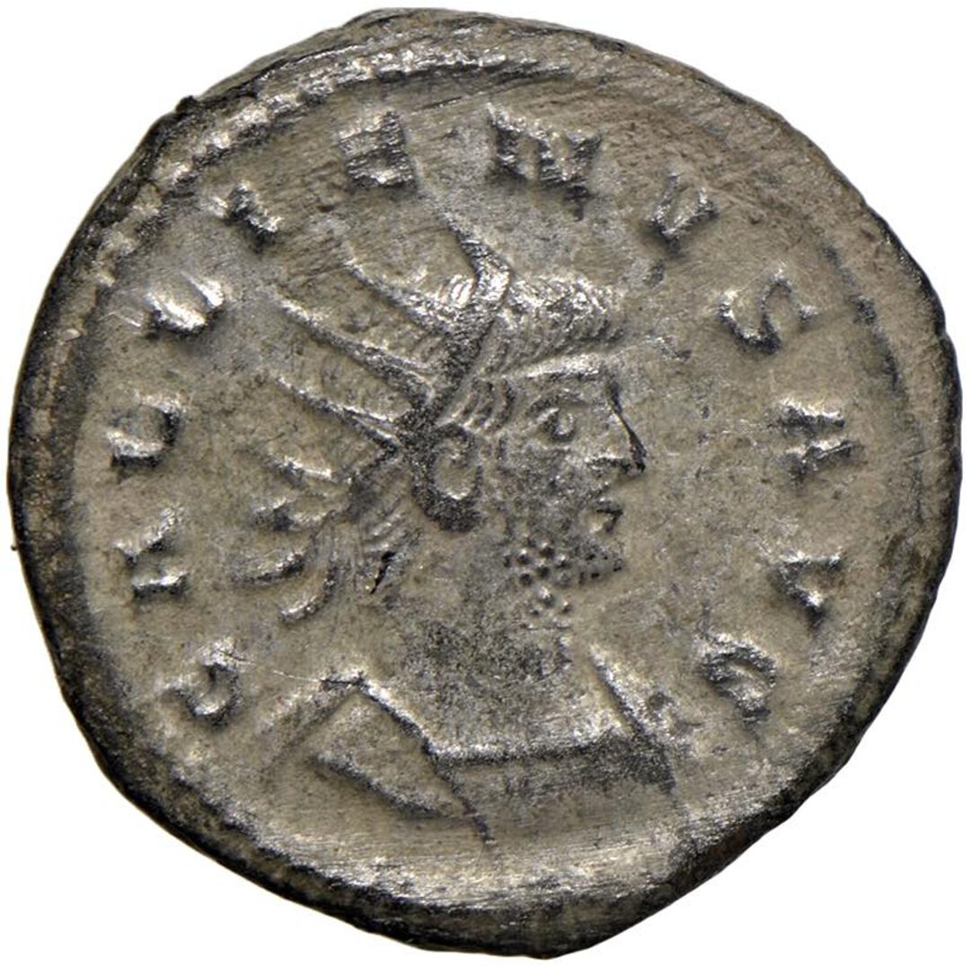 Dritto moneta