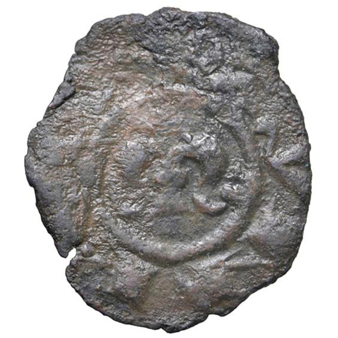 Dritto moneta