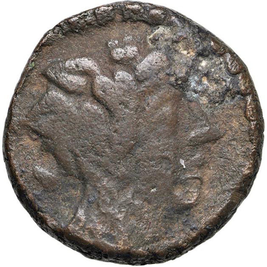 Dritto moneta
