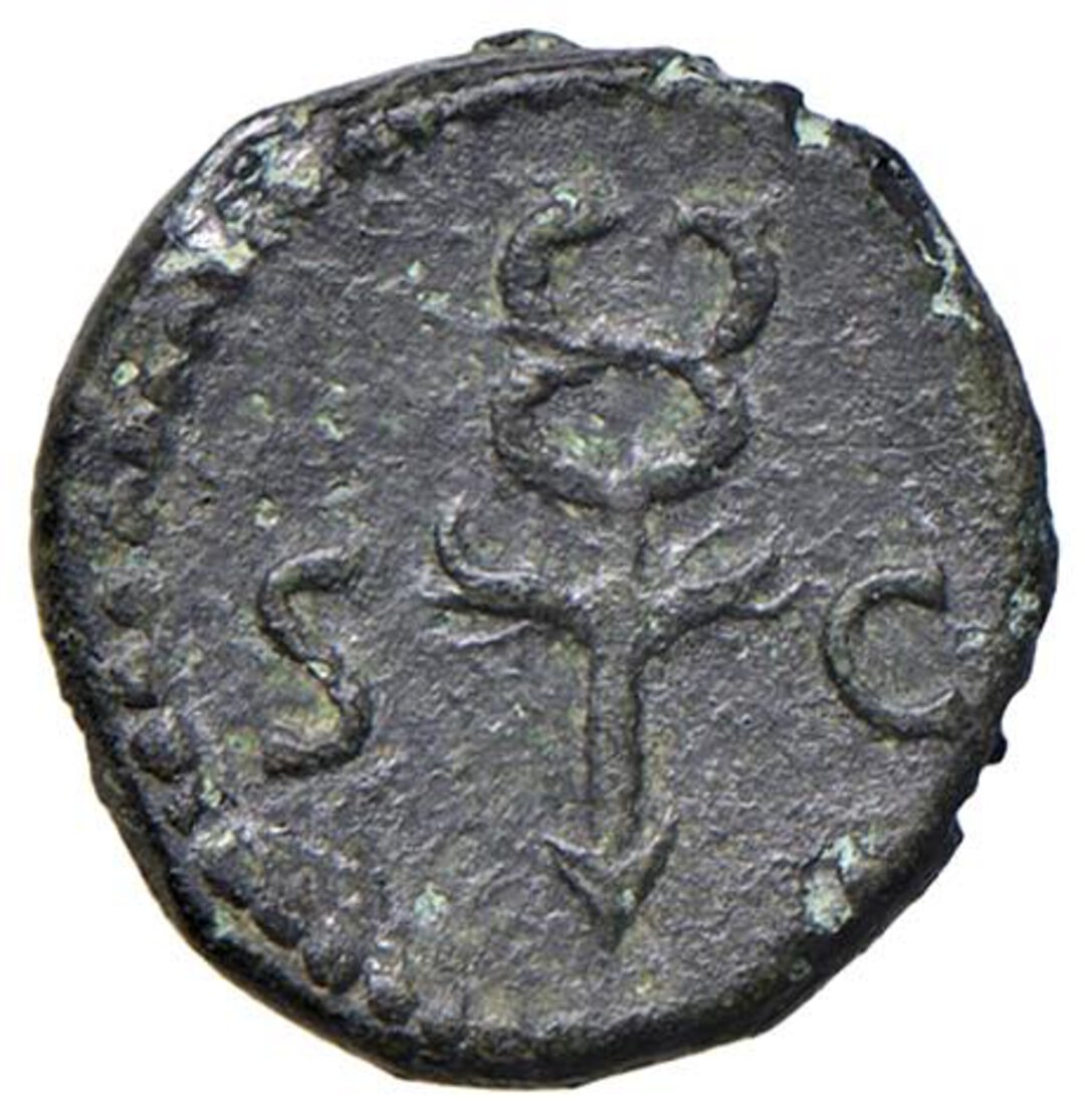 Rovescio moneta