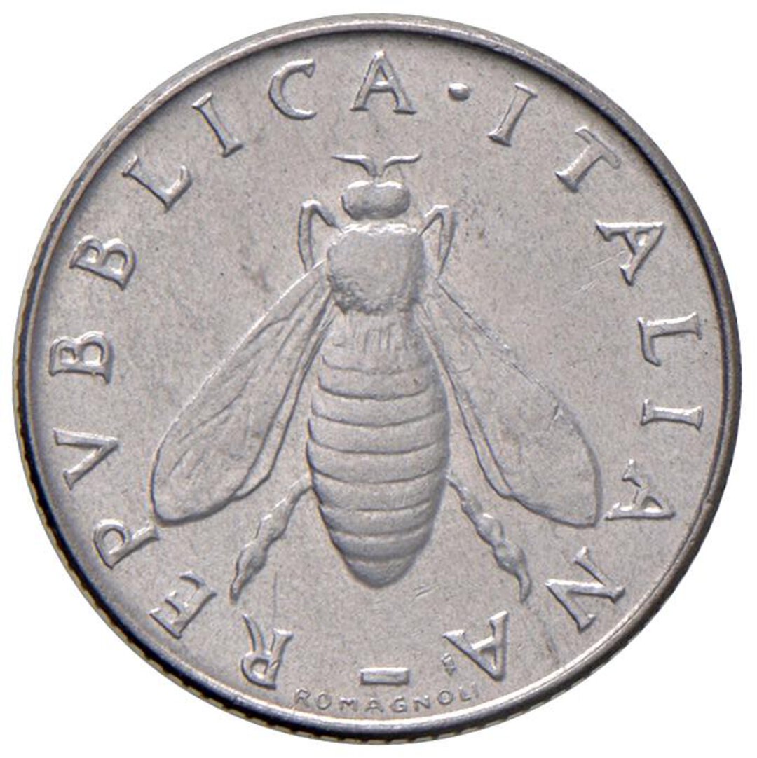 Dritto moneta
