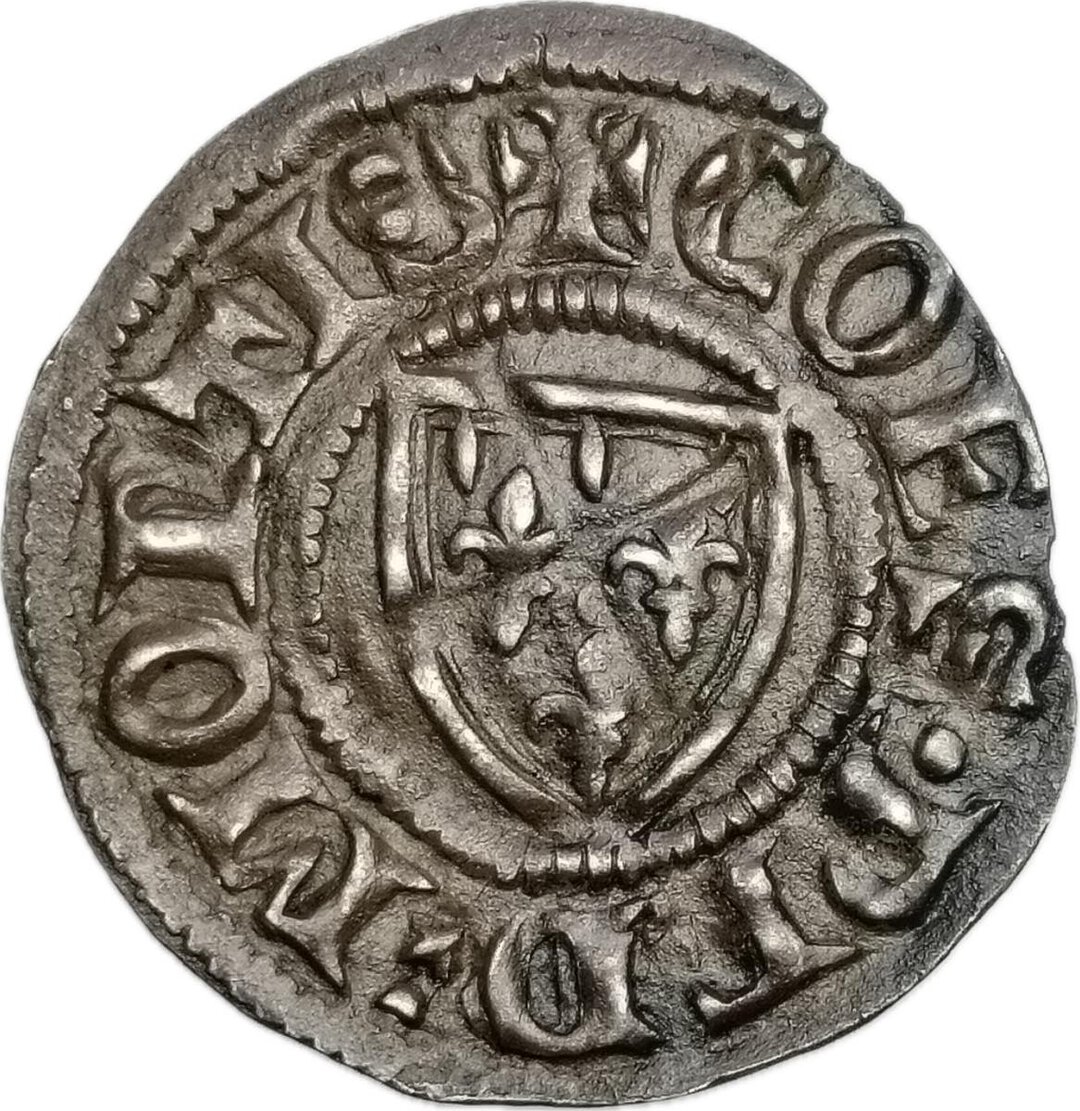 Rovescio moneta