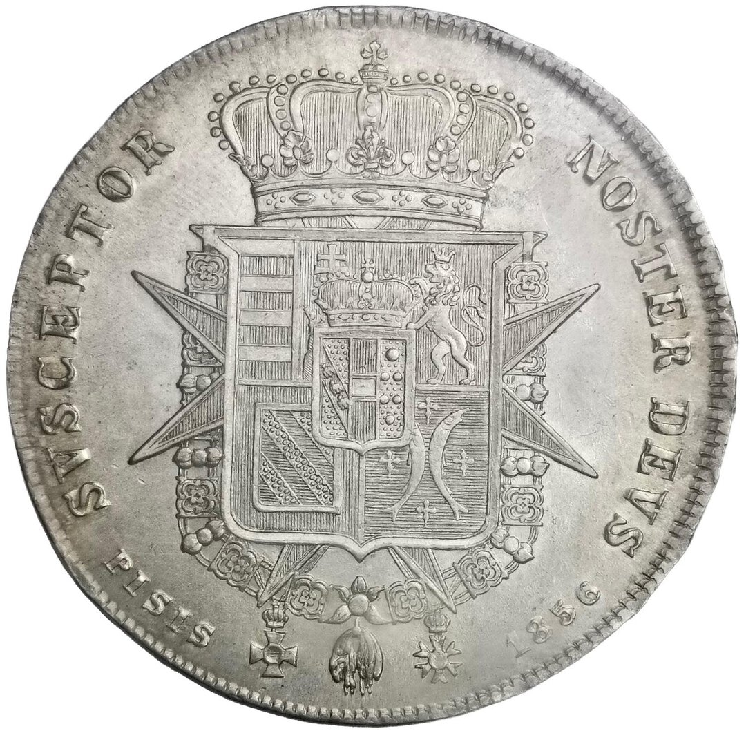 Rovescio moneta