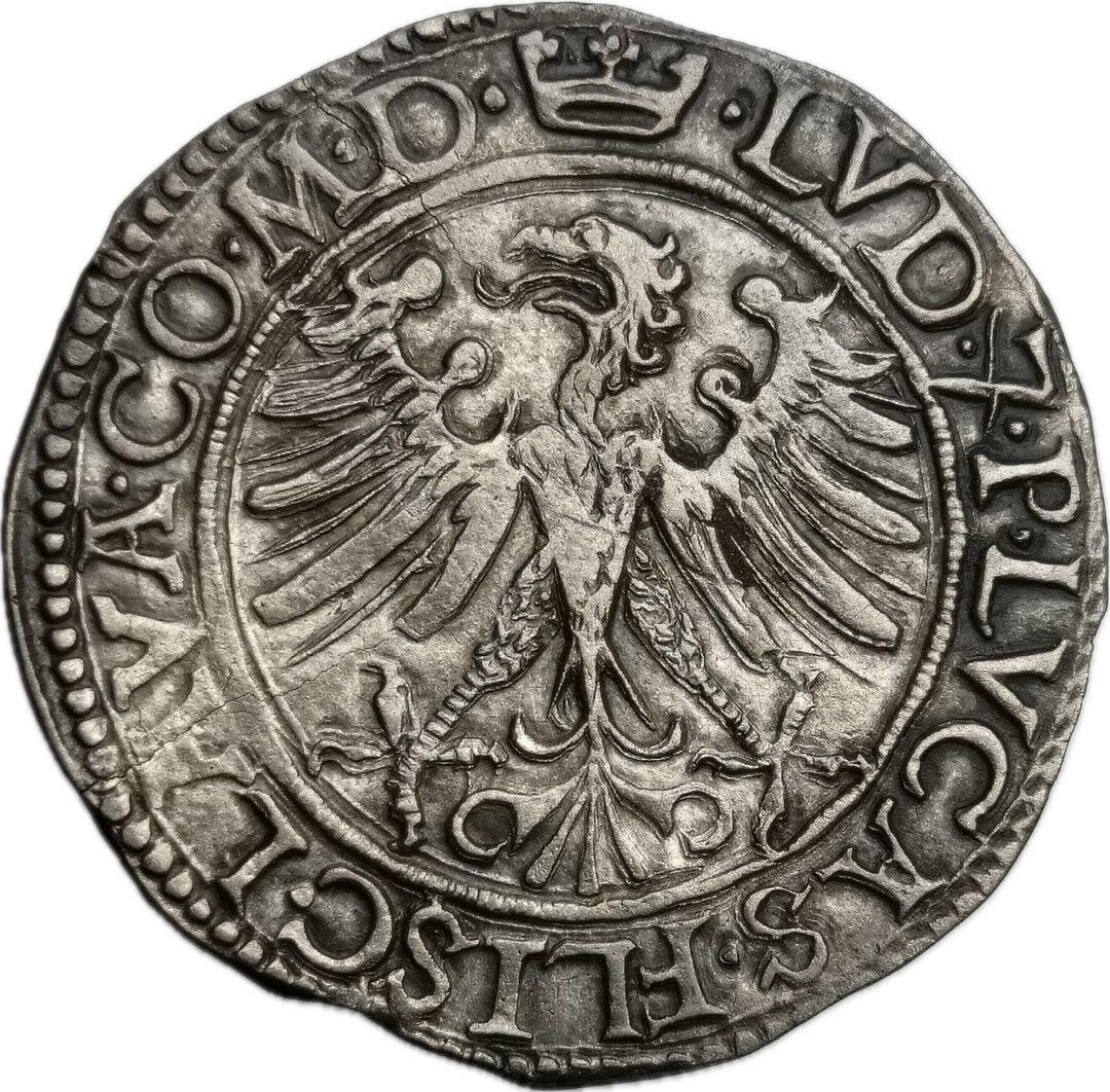 Dritto moneta