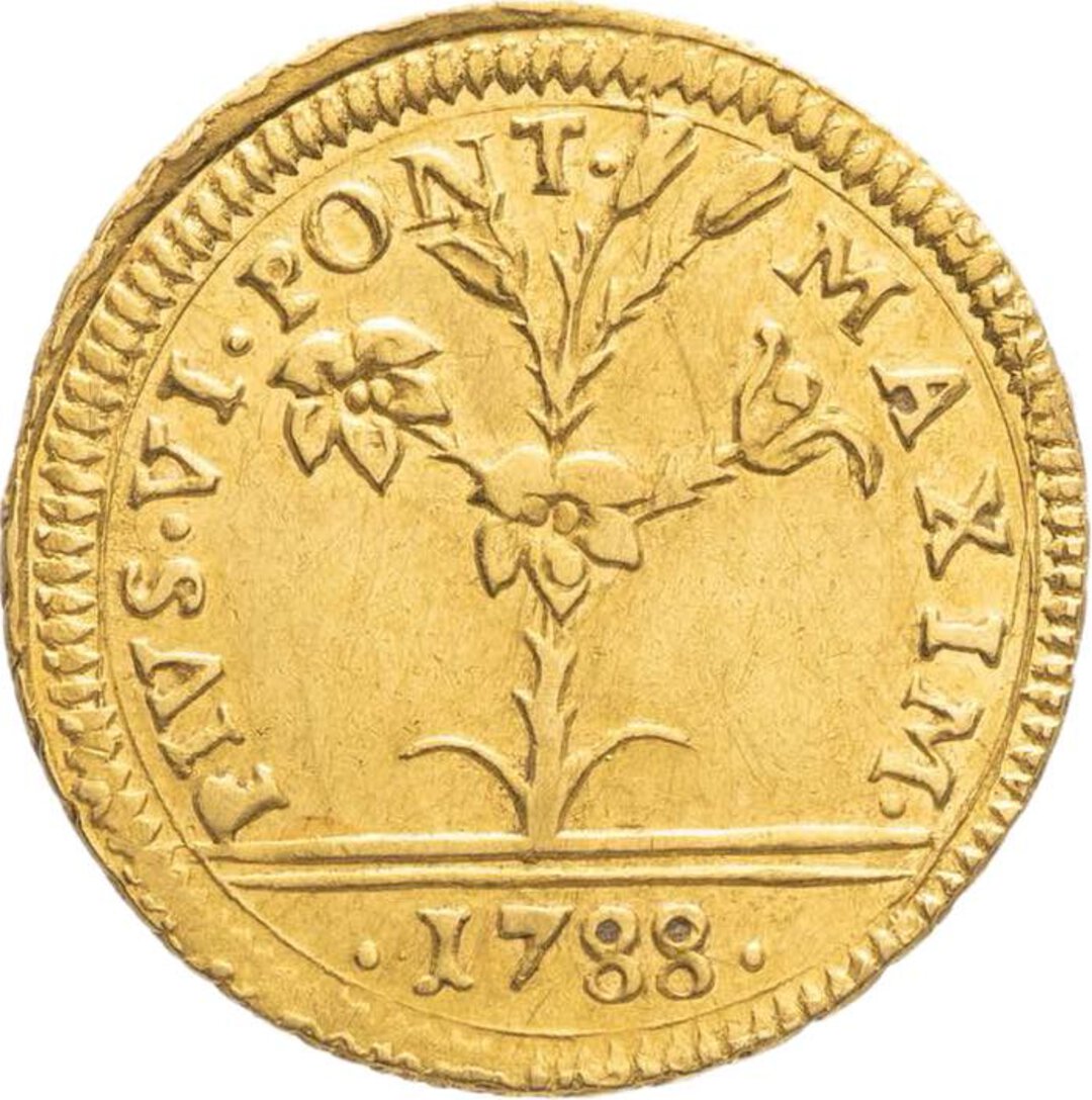 Dritto moneta