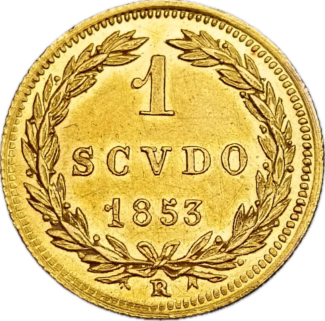 Rovescio moneta