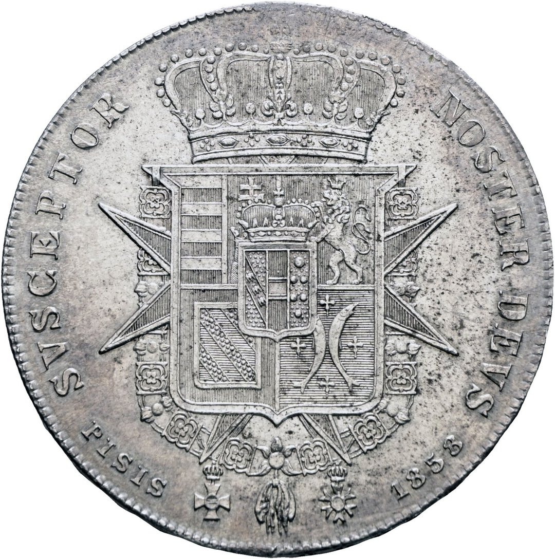Rovescio moneta