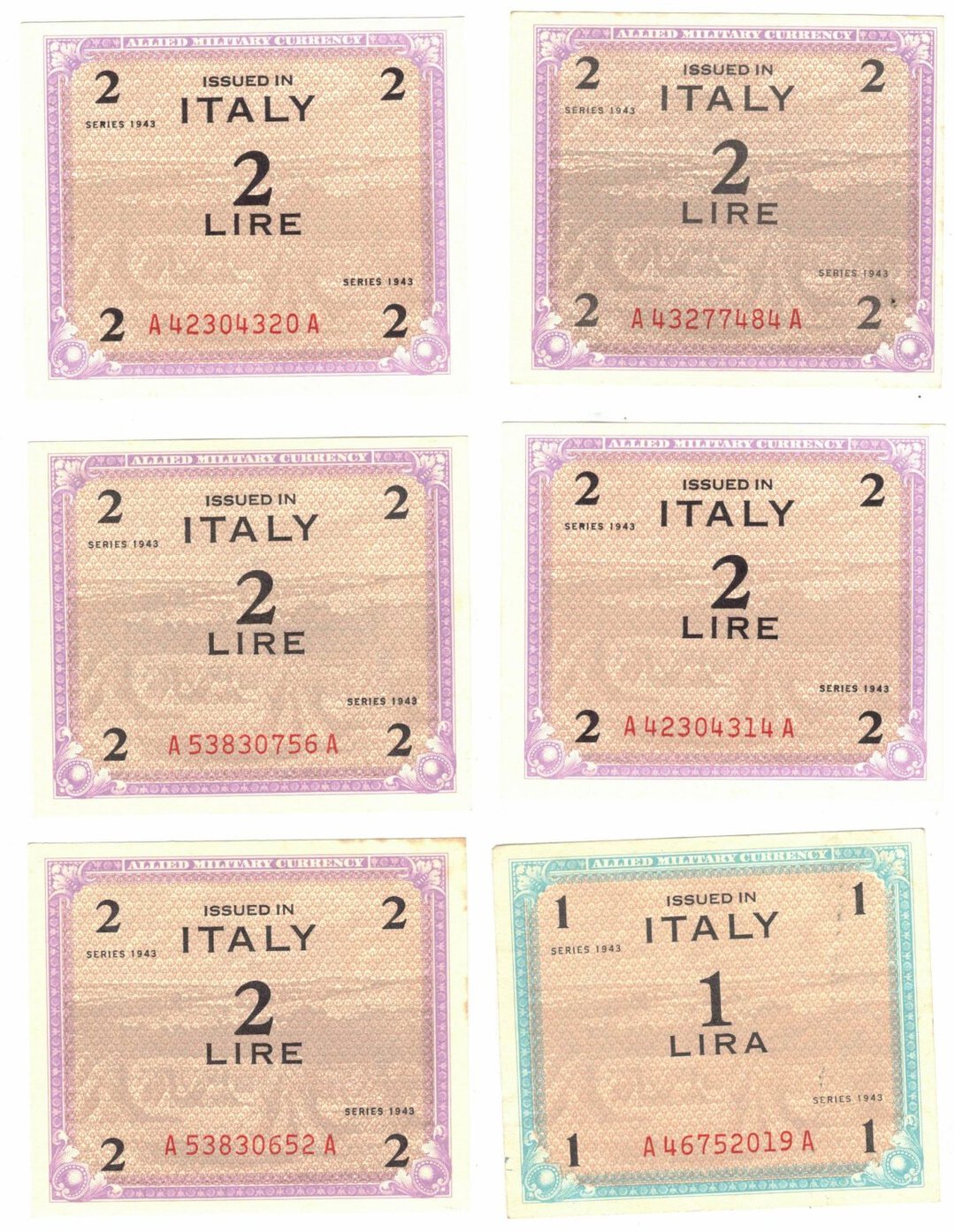 Dritto moneta