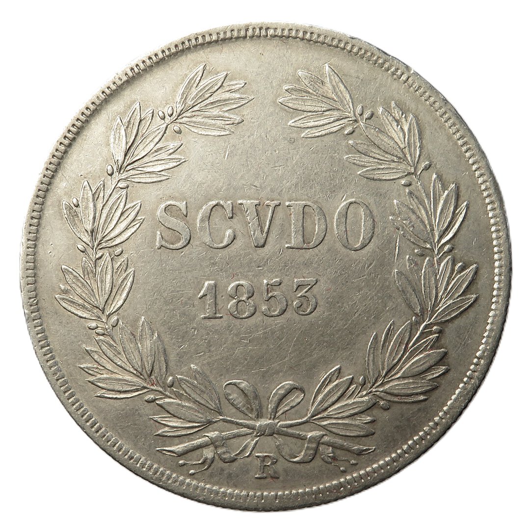 Rovescio moneta