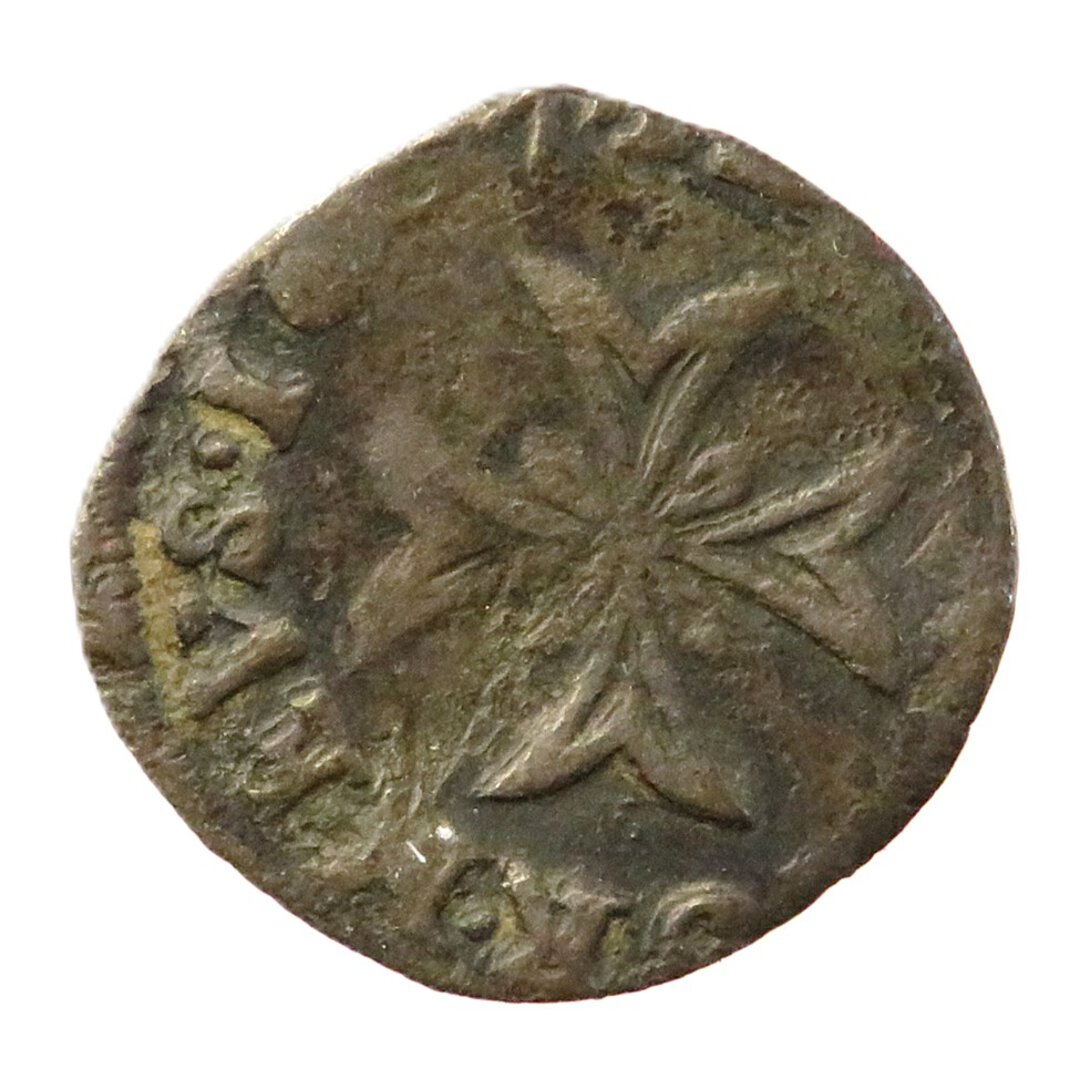 Dritto moneta