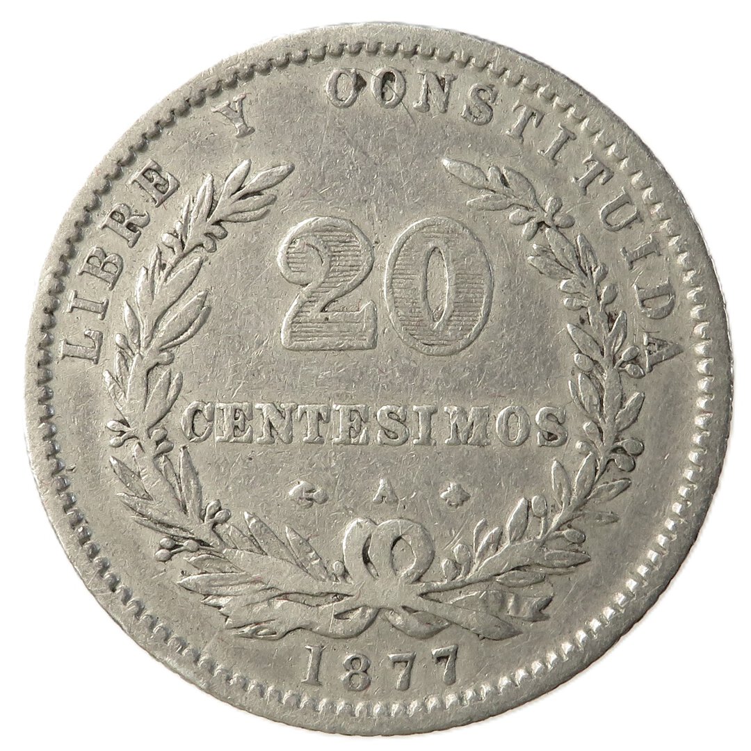 Dritto moneta