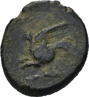 Reverse image