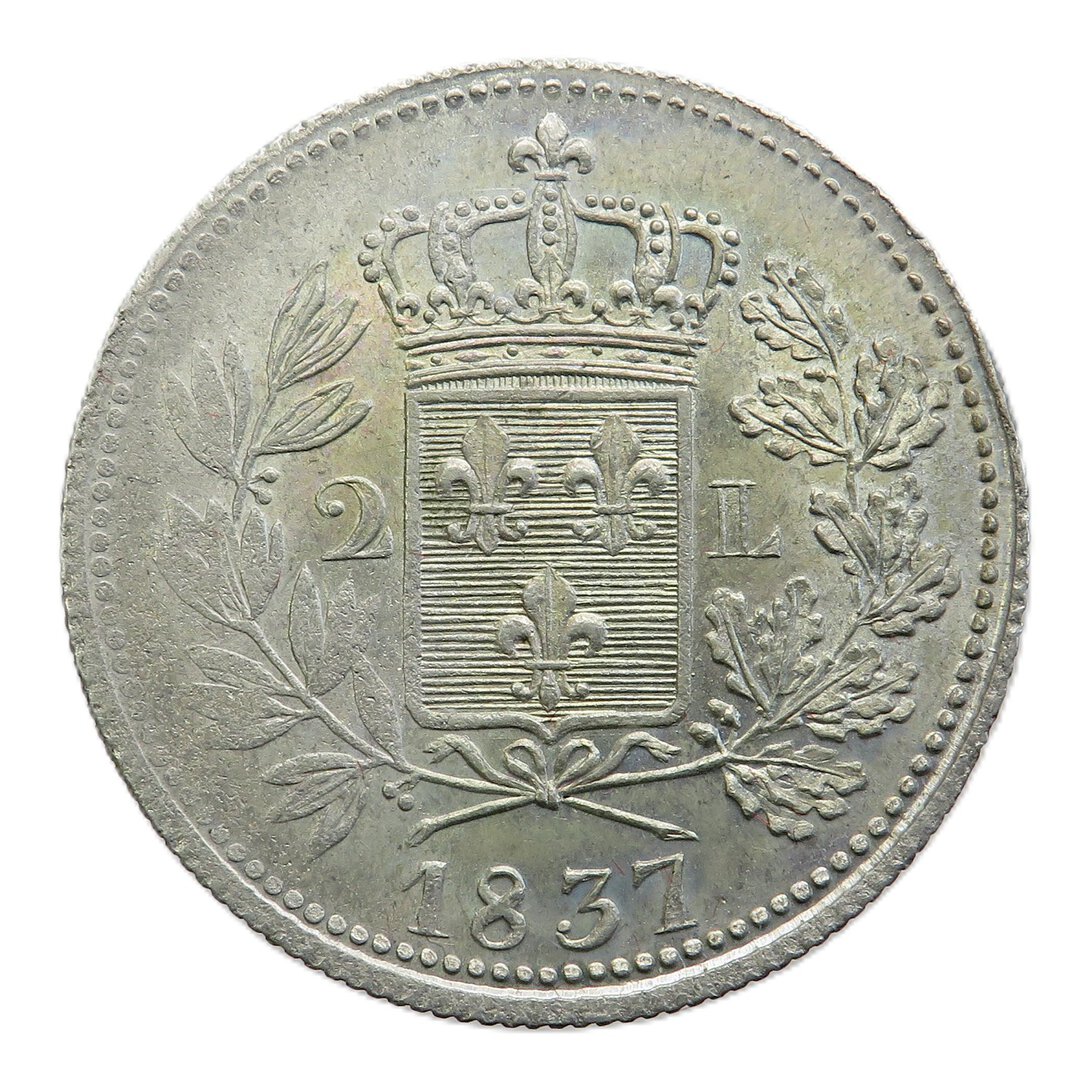 Dritto moneta