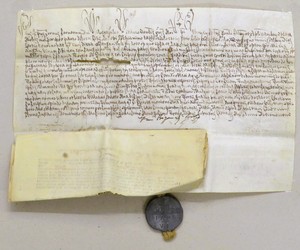 Reverse image