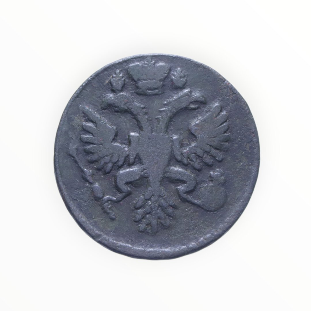 Dritto moneta