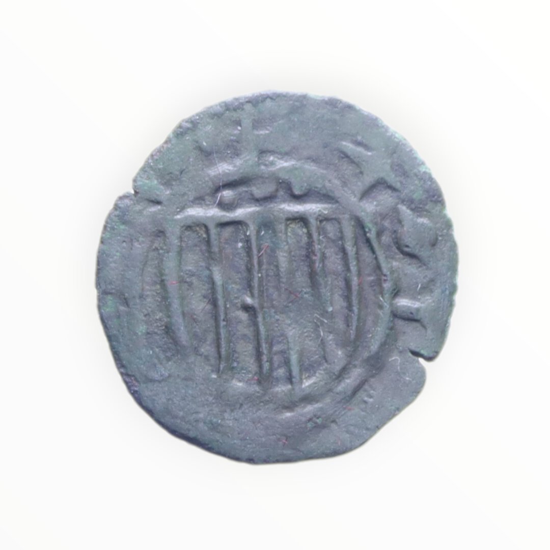 Dritto moneta