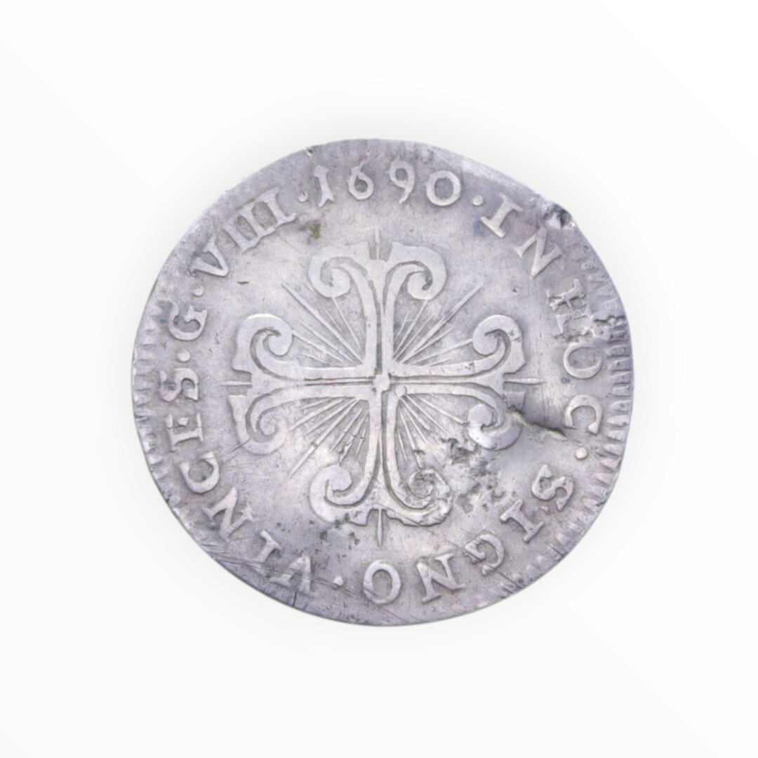 Rovescio moneta