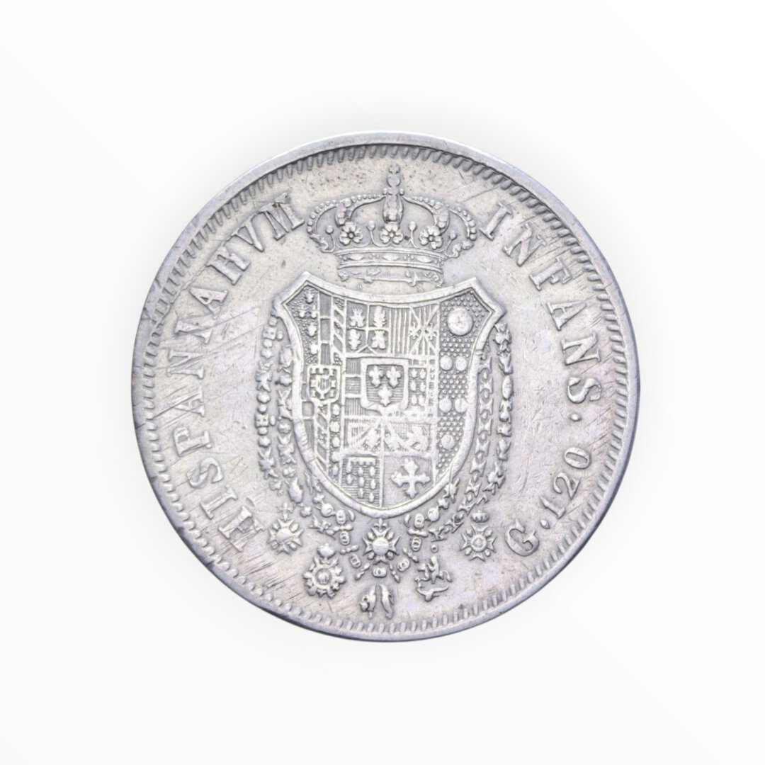 Rovescio moneta