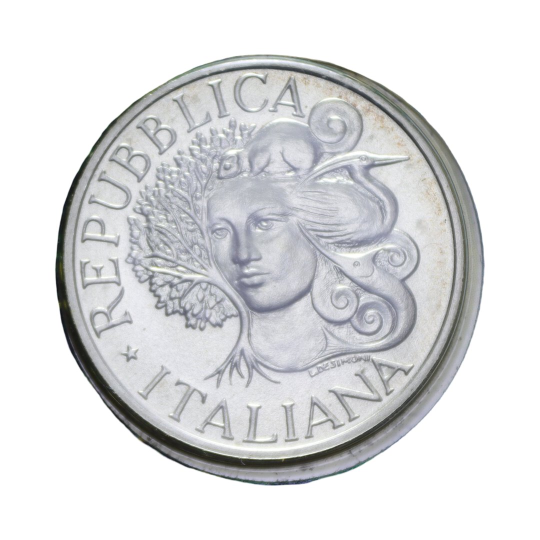 Dritto moneta