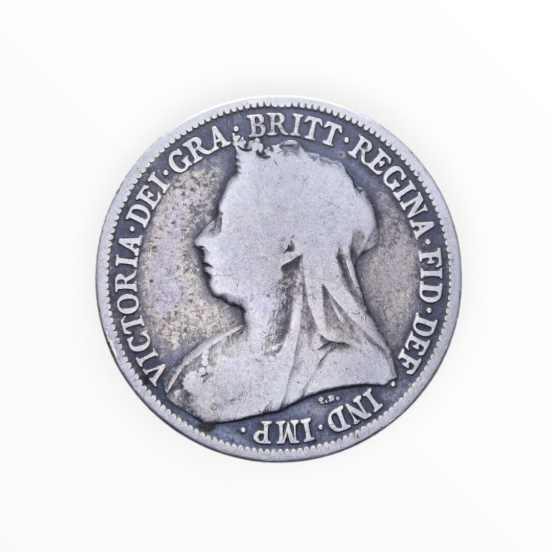 Dritto moneta