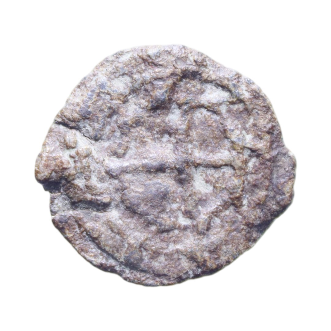 Dritto moneta