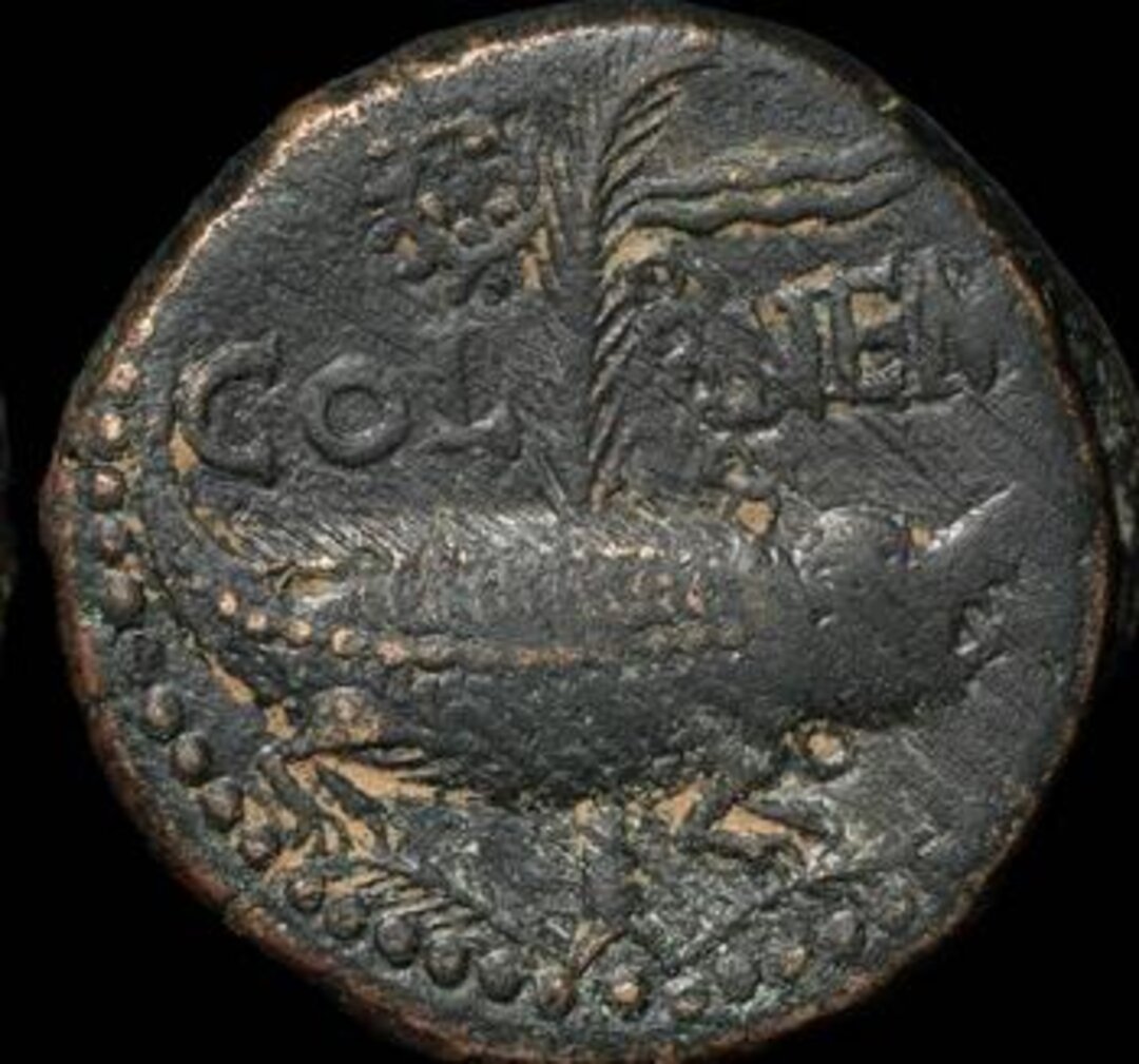 Rovescio moneta