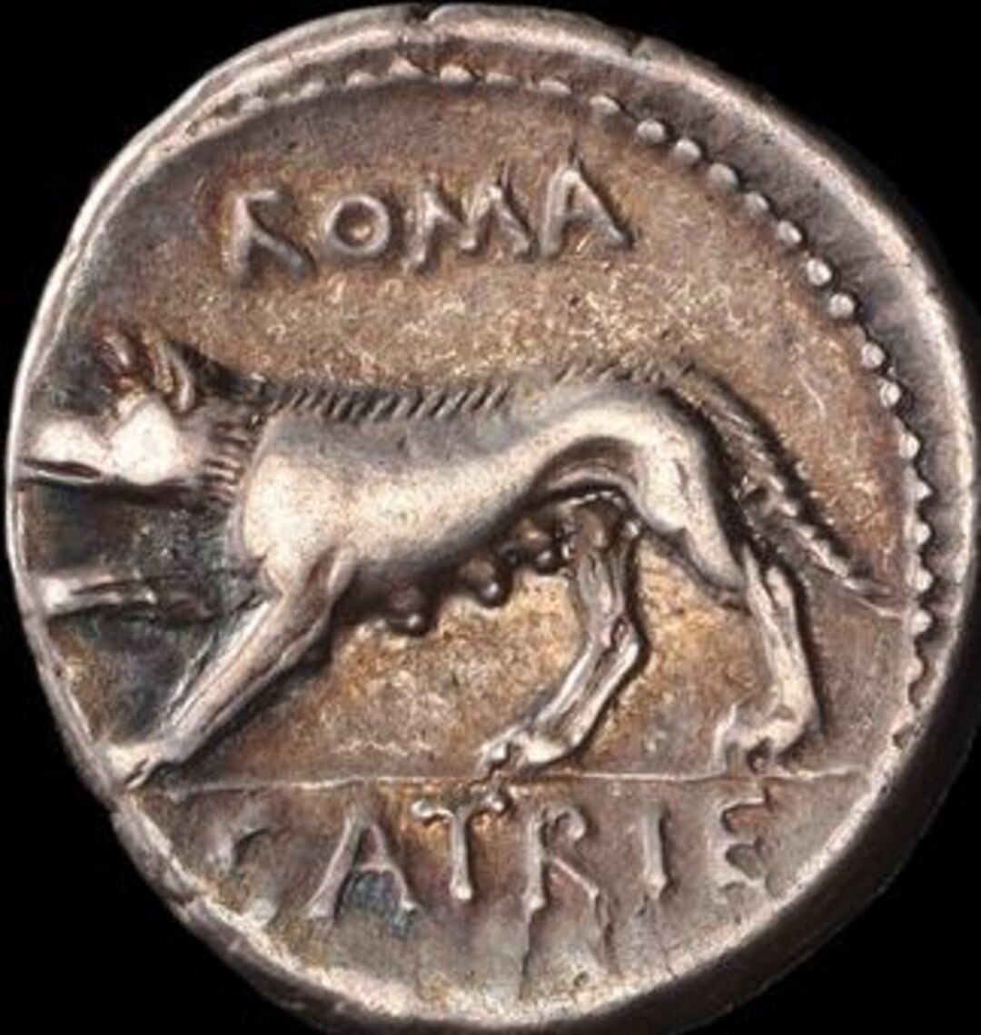 Rovescio moneta