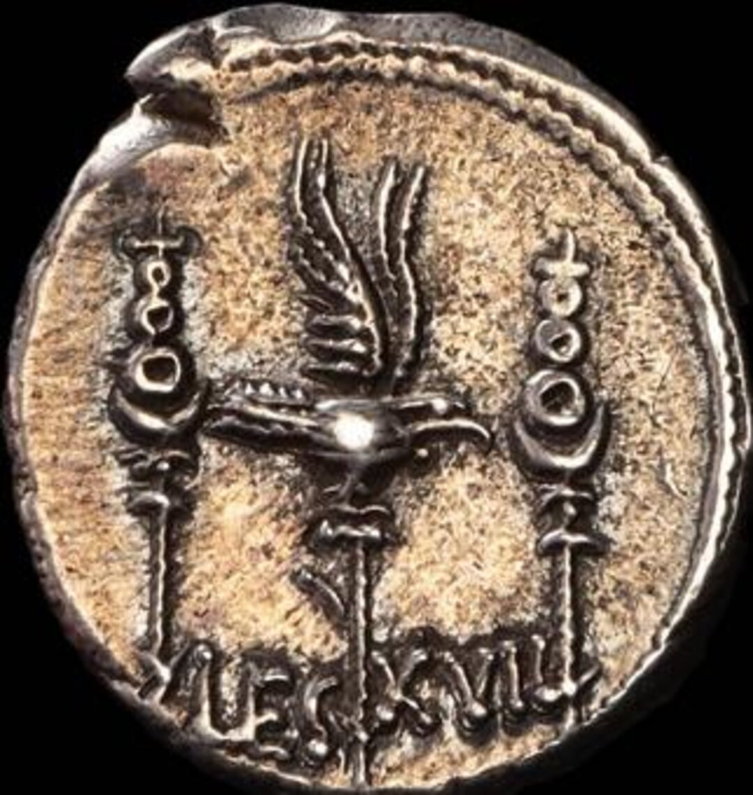 Dritto moneta