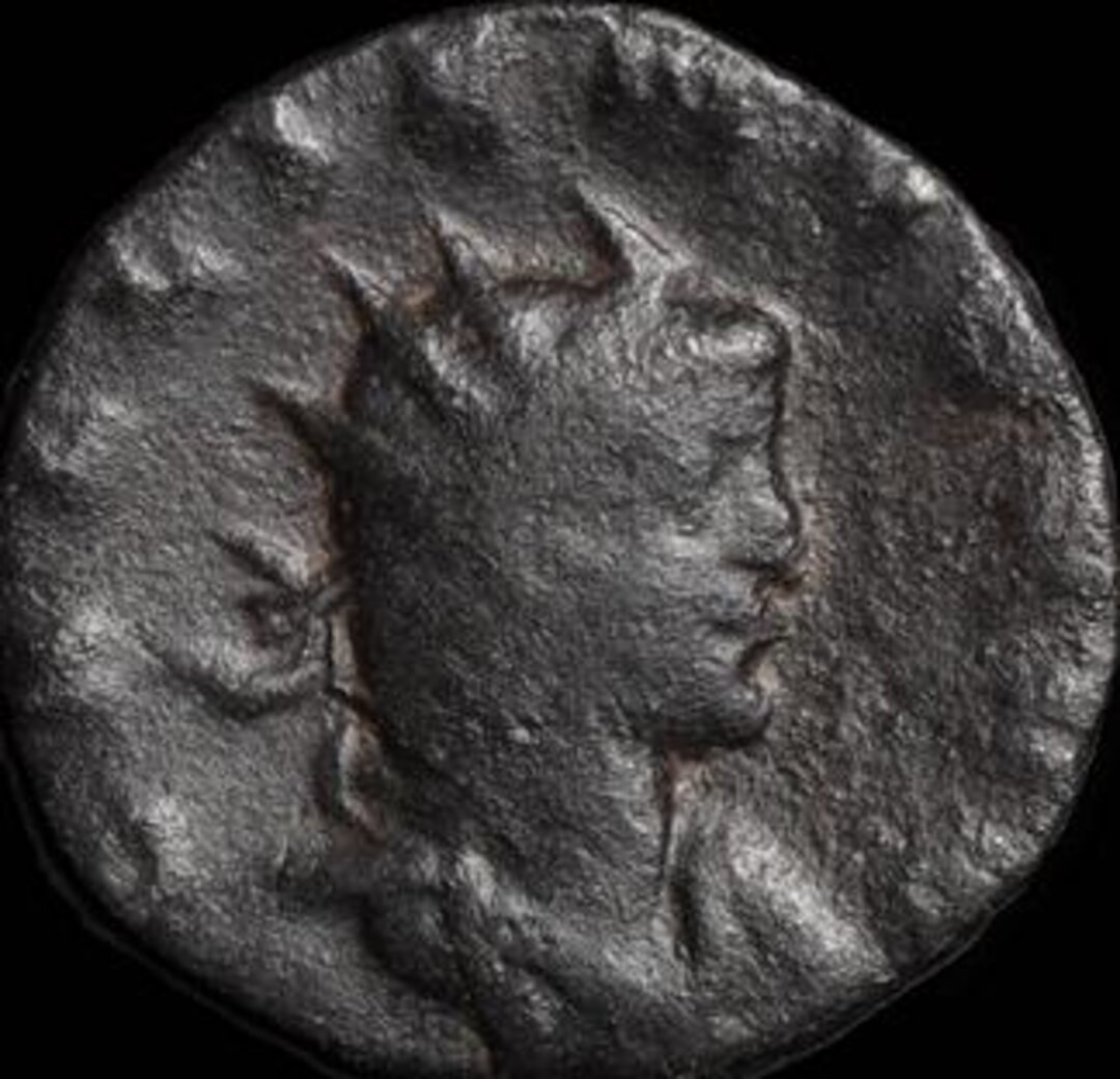 Dritto moneta