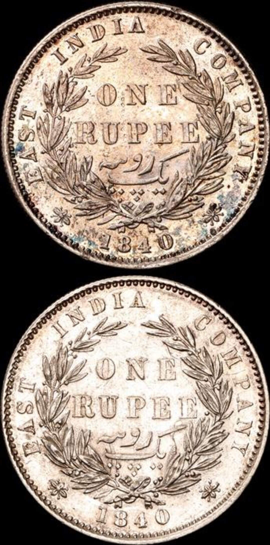 Rovescio moneta