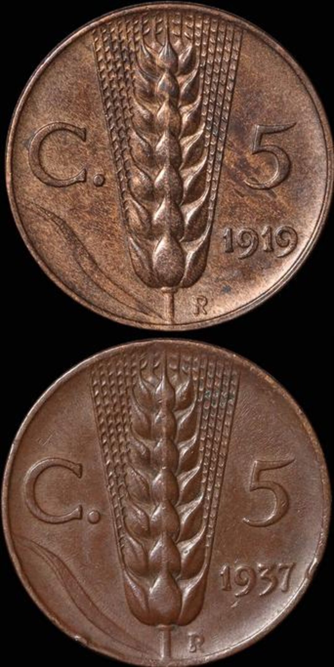 Rovescio moneta