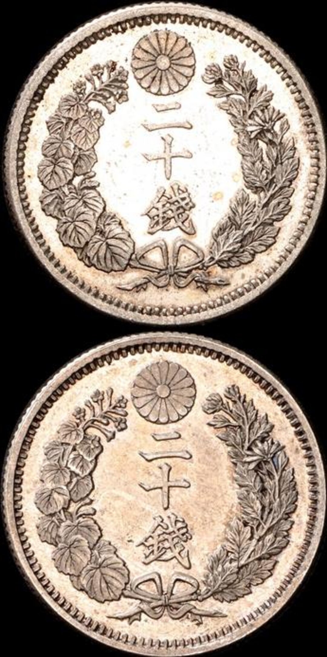 Rovescio moneta