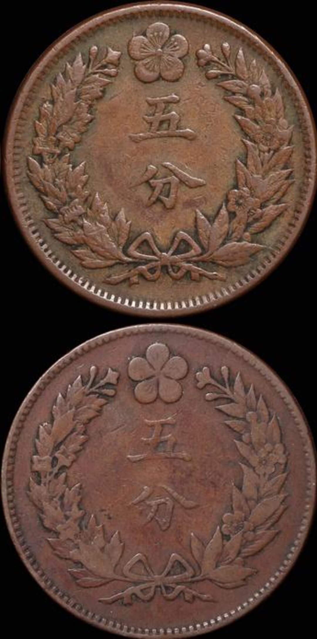 Rovescio moneta