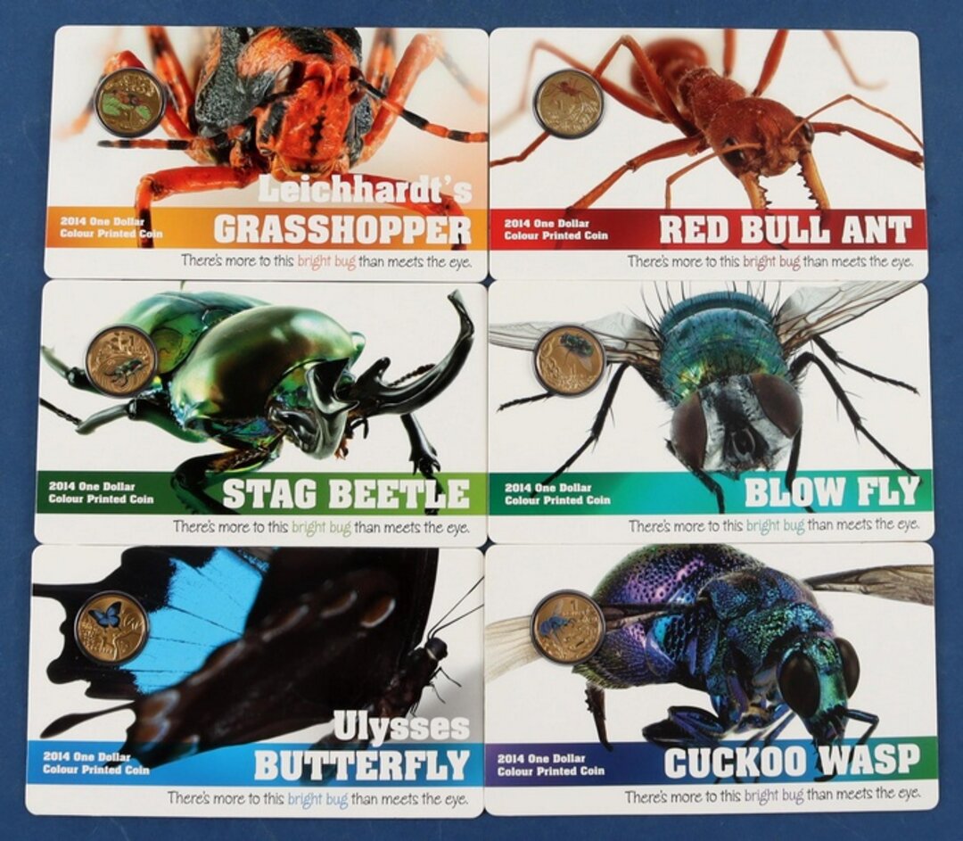 Dritto moneta