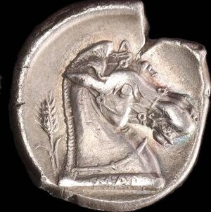 Reverse image