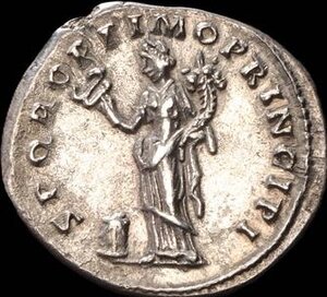 Reverse image
