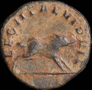 Reverse image