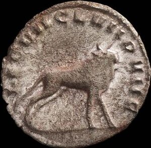 Reverse image