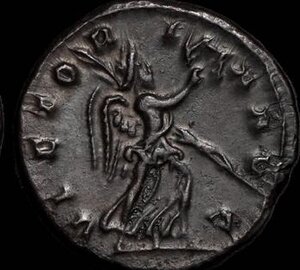 Reverse image