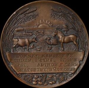 Reverse image