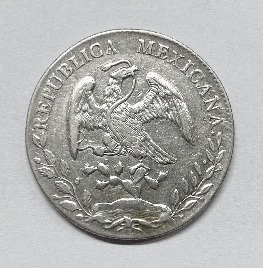 Dritto moneta