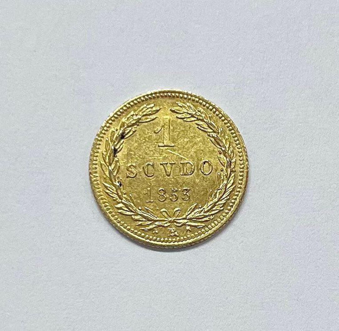 Rovescio moneta