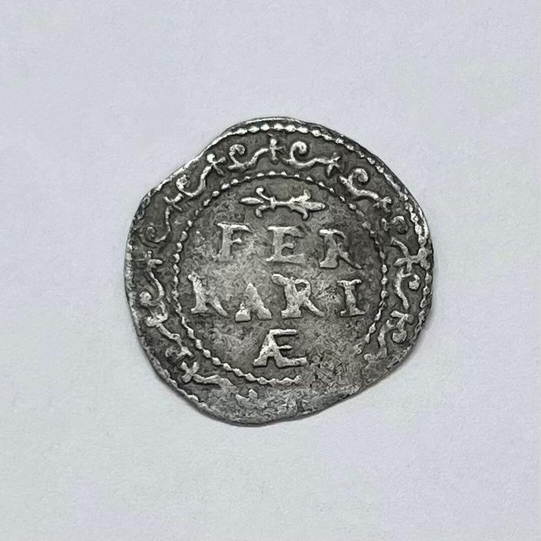 Rovescio moneta